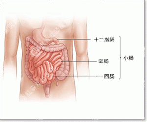 痔疮是什么引起的？